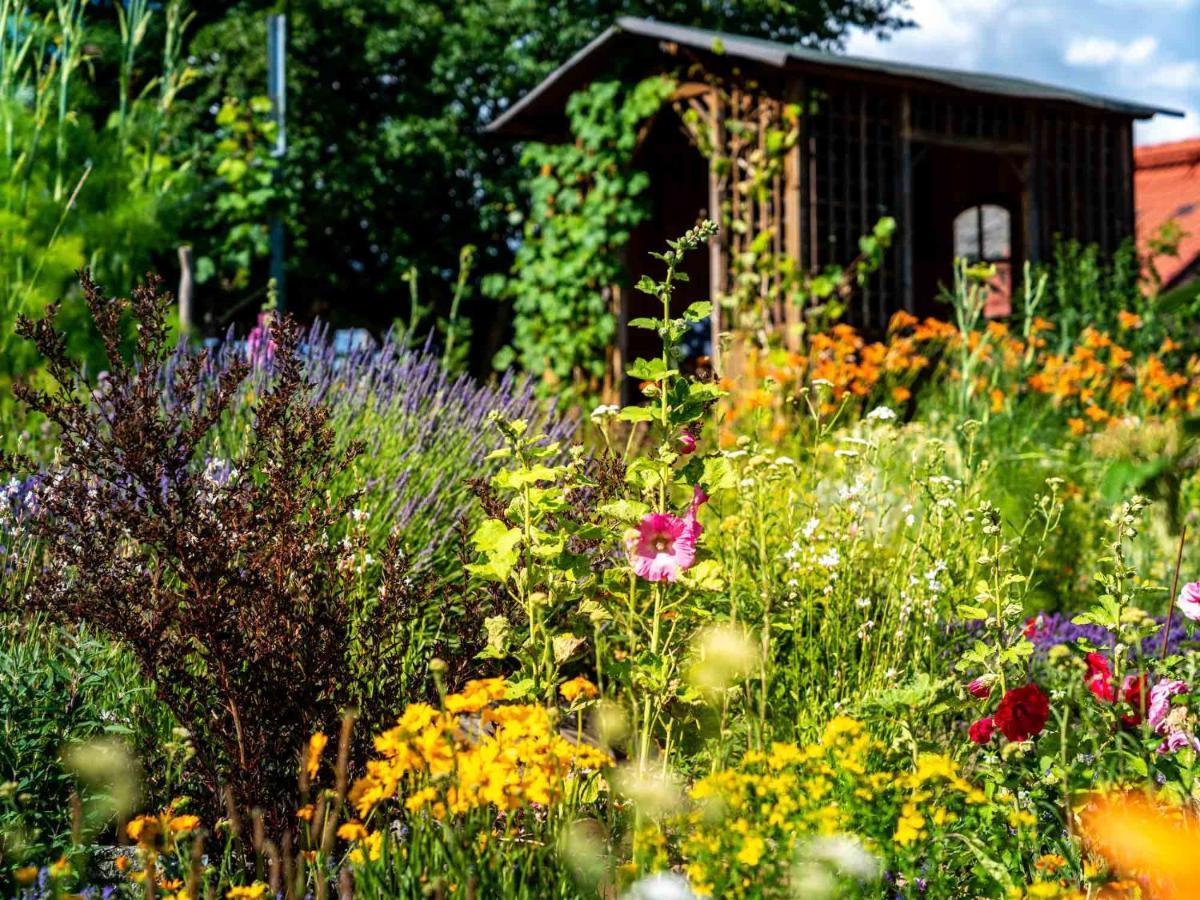 Landhotel Gut Wildberg Meißen 외부 사진