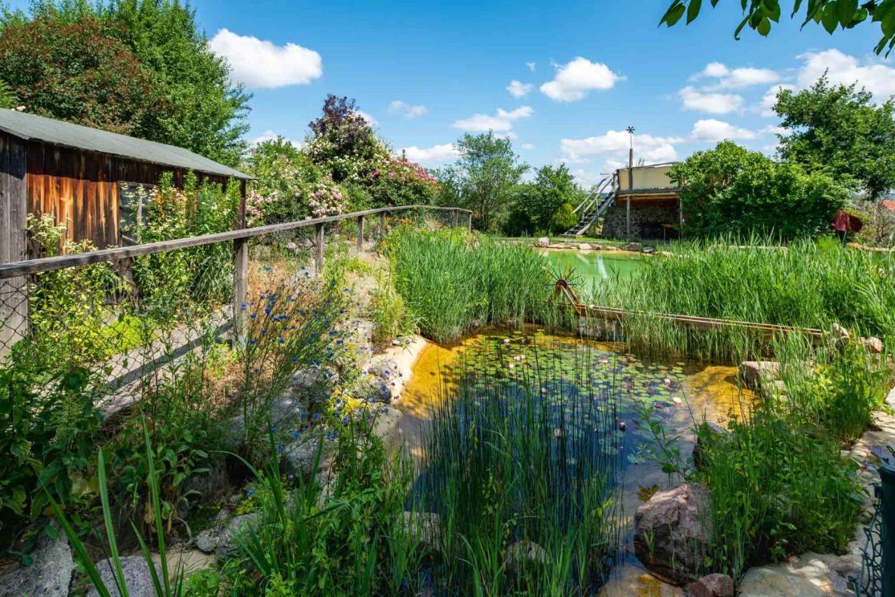 Landhotel Gut Wildberg Meißen 외부 사진