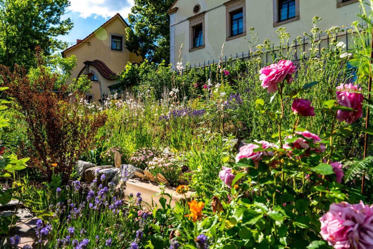 Landhotel Gut Wildberg Meißen 외부 사진