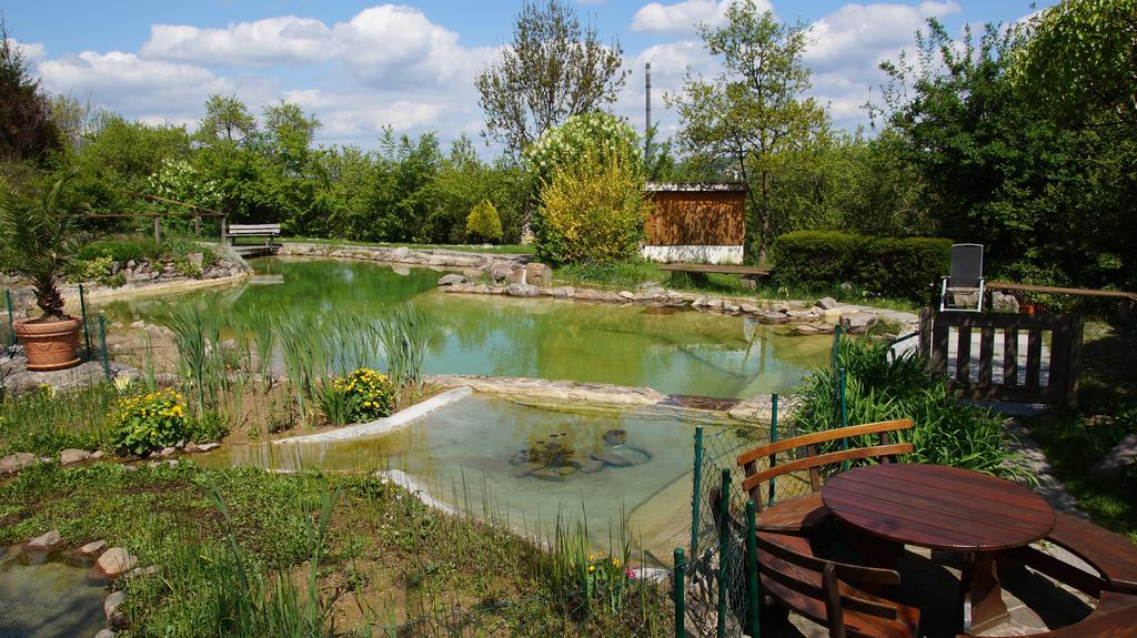 Landhotel Gut Wildberg Meißen 외부 사진